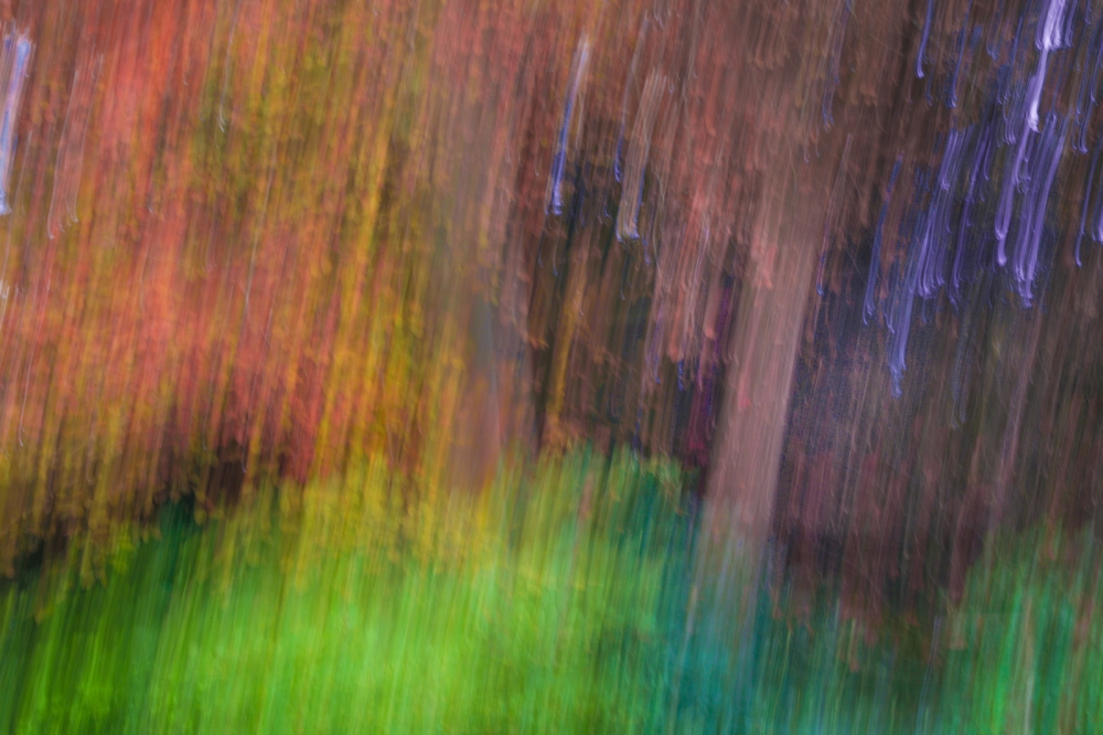 ICM Abstract