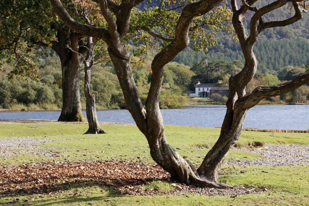 Stablehill, Derwentwater